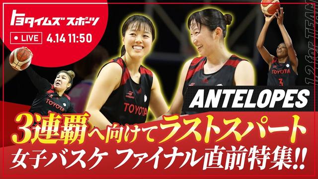 アンテロープス3連覇へ向けてラストスパート！プレーオフファイナル直前特集！