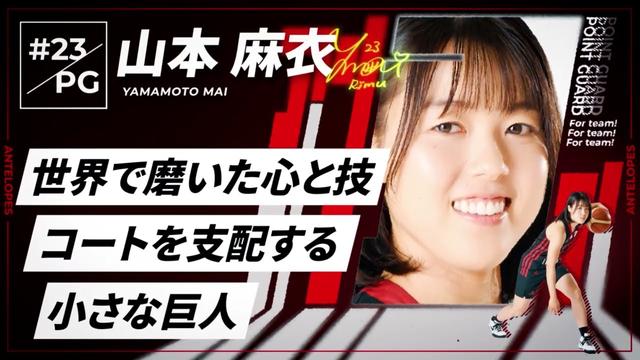 【アンテロープス選手名鑑】23.山本 麻衣（ポイントガード）